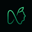 NAFSIO Logo